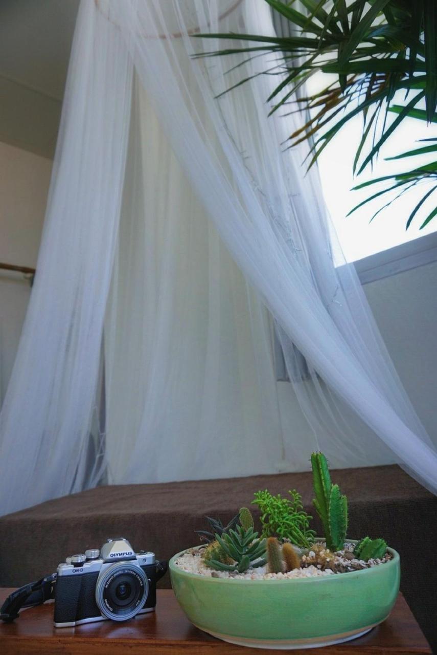 Mountscene At Cervidae Bed and Breakfast Τσιάνγκ Μάι Εξωτερικό φωτογραφία